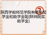 陕西学前师范学院有哪些奖学金和助学金呢(陕师院奖助学金)