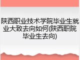陕西职业技术学院毕业生就业大致去向如何(陕西职院毕业生去向)