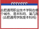 合肥通用职业技术学院在哪个城市，是本科吗，第几批(合肥通用学院是本科吗)
