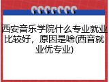 西安音乐学院什么专业就业比较好，原因是啥(西音就业优专业)
