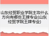 山东经贸职业学院主攻什么方向有哪些王牌专业(山东经贸学院王牌专业)
