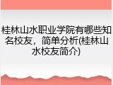 桂林山水职业学院有哪些知名校友，简单分析(桂林山水校友简介)