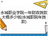 永城职业学院一年财政拨款大概多少钱(永城职院年拨款)