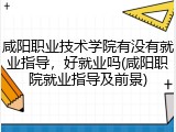 咸阳职业技术学院有没有就业指导，好就业吗(咸阳职院就业指导及前景)