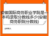 安徽国际商务职业学院是一本吗录取分数线多少(安徽商务职院分数线)