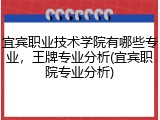 宜宾职业技术学院有哪些专业，王牌专业分析(宜宾职院专业分析)