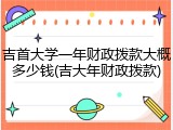 吉首大学一年财政拨款大概多少钱(吉大年财政拨款)