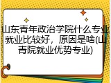山东青年政治学院什么专业就业比较好，原因是啥(山青院就业优势专业)