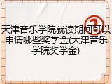 天津音乐学院就读期间可以申请哪些奖学金(天津音乐学院奖学金)