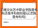 云南文化艺术职业学院是专科还是本科院校呢(云艺院是专科吗)