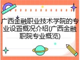 广西金融职业技术学院的专业设置概况介绍(广西金融职院专业概览)
