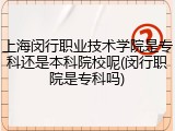 上海闵行职业技术学院是专科还是本科院校呢(闵行职院是专科吗)