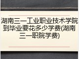 湖南三一工业职业技术学院到毕业要花多少学费(湖南三一职院学费)