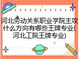 河北劳动关系职业学院主攻什么方向有哪些王牌专业(河北工院王牌专业)