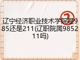 辽宁经济职业技术学院是985还是211(辽职院属985211吗)