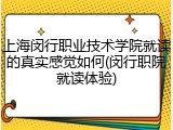 上海闵行职业技术学院就读的真实感觉如何(闵行职院就读体验)