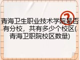 青海卫生职业技术学院是否有分校，共有多少个校区(青海卫职院校区数量)