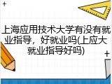 上海应用技术大学有没有就业指导，好就业吗(上应大就业指导好吗)