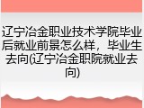 辽宁冶金职业技术学院毕业后就业前景怎么样，毕业生去向(辽宁冶金职院就业去向)