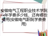 安徽电气工程职业技术学院一年学费多少钱，还有哪些费用(安徽电气职院学费费用)