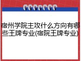宿州学院主攻什么方向有哪些王牌专业(宿院王牌专业)