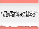 云南艺术学院是专科还是本科院校呢(云艺本科专科)