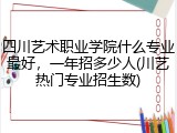 四川艺术职业学院什么专业最好，一年招多少人(川艺热门专业招生数)
