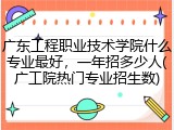 广东工程职业技术学院什么专业最好，一年招多少人(广工院热门专业招生数)