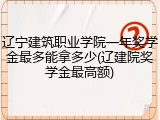 辽宁建筑职业学院一年奖学金最多能拿多少(辽建院奖学金最高额)