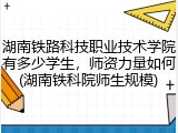 湖南铁路科技职业技术学院有多少学生，师资力量如何(湖南铁科院师生规模)
