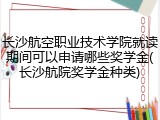 长沙航空职业技术学院就读期间可以申请哪些奖学金(长沙航院奖学金种类)