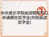 中央音乐学院就读期间可以申请哪些奖学金(央院就读奖学金)