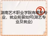 湖南艺术职业学院有哪些专业，就业前景如何(湖艺专业及就业)