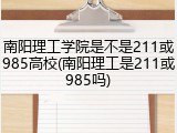 南阳理工学院是不是211或985高校(南阳理工是211或985吗)