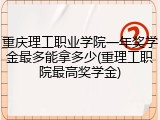 重庆理工职业学院一年奖学金最多能拿多少(重理工职院最高奖学金)