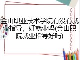 金山职业技术学院有没有就业指导，好就业吗(金山职院就业指导好吗)