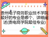 贵州电子商务职业技术学院最好的专业是哪个，详细阐述(贵电商学院最佳专业)