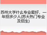 苏州大学什么专业最好，一年招多少人(苏大热门专业及招生)