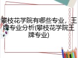 攀枝花学院有哪些专业，王牌专业分析(攀枝花学院王牌专业)