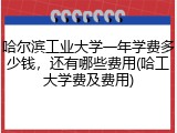 哈尔滨工业大学一年学费多少钱，还有哪些费用(哈工大学费及费用)