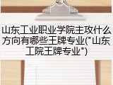 山东工业职业学院主攻什么方向有哪些王牌专业("山东工院王牌专业")