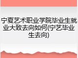 宁夏艺术职业学院毕业生就业大致去向如何(宁艺毕业生去向)