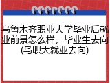 乌鲁木齐职业大学毕业后就业前景怎么样，毕业生去向(乌职大就业去向)