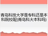 青岛科技大学是专科还是本科院校呢(青岛科大本科吗)