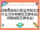 河南信息统计职业学院主攻什么方向有哪些王牌专业(河南统院王牌专业)