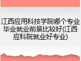 江西应用科技学院哪个专业毕业就业前景比较好(江西应科院就业好专业)