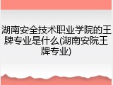 湖南安全技术职业学院的王牌专业是什么(湖南安院王牌专业)