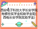 西安电子科技大学长安学院有哪些奖学金和助学金呢(西电长安学院奖助学金)