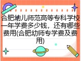 合肥幼儿师范高等专科学校一年学费多少钱，还有哪些费用(合肥幼师专学费及费用)