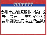 贵州生态能源职业学院什么专业最好，一年招多少人(贵州能院热门专业招生数)